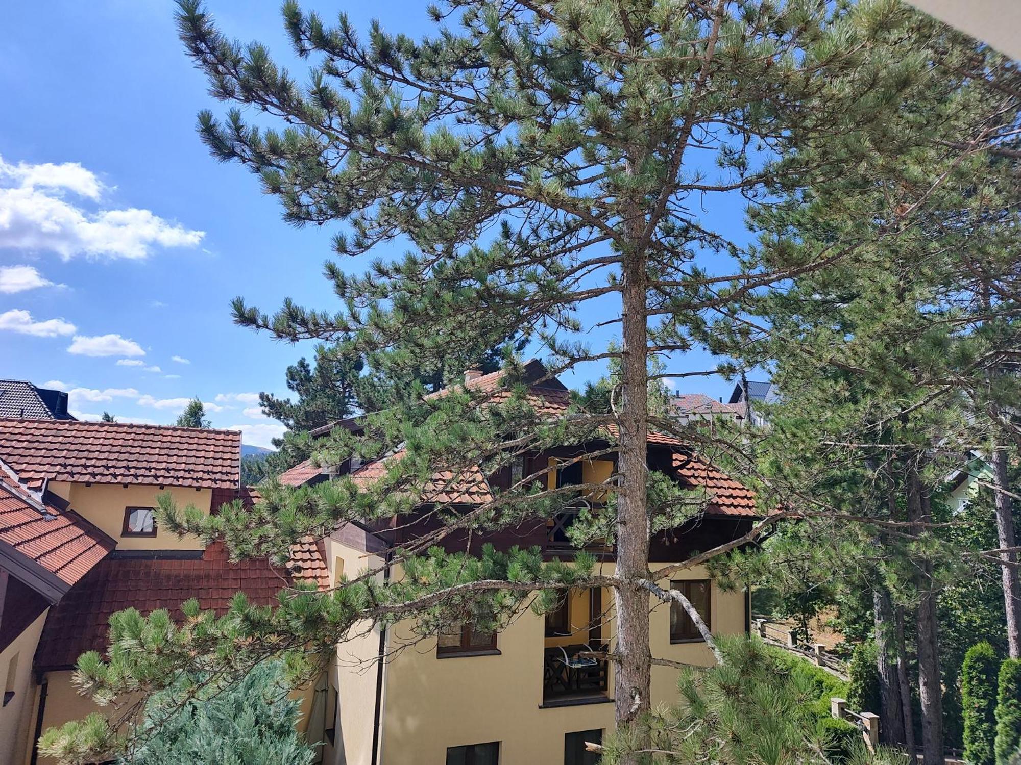 Velika Recepcija 147 Apartment Zlatibor